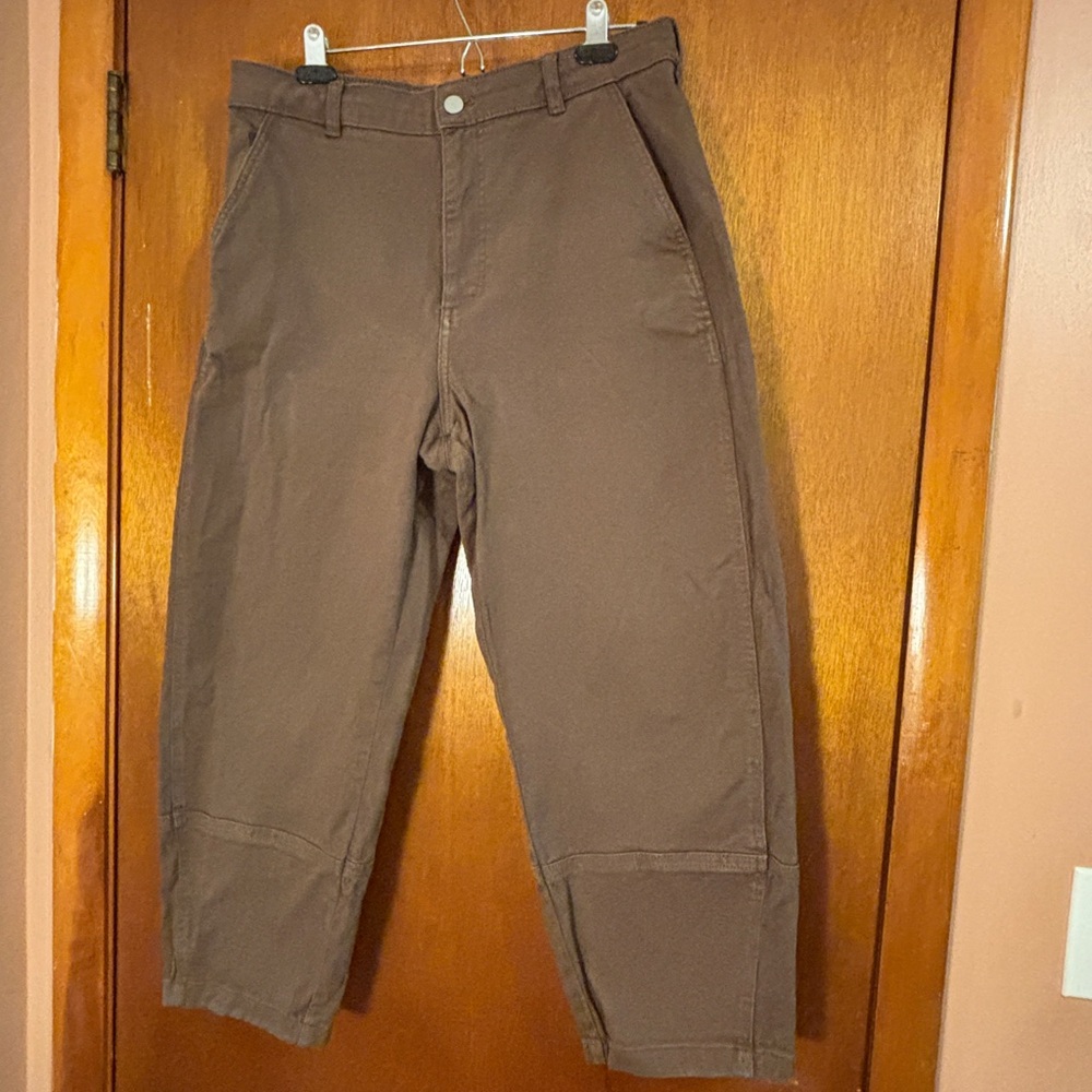 Everlane Brown Barrel Leg Pants